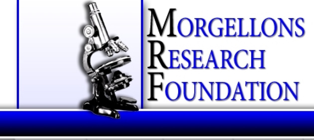 Original Morgellons Research Foundation web banner: a microscope beside the foundation name.